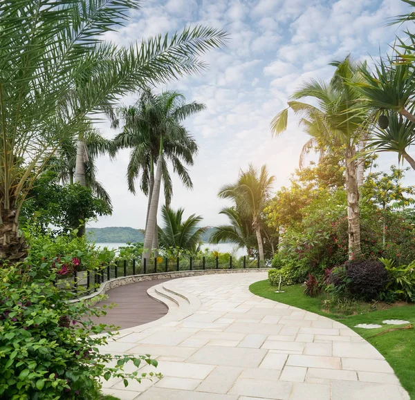 Egy Gyönyörű Parkban Található Palms Sétány — Stock Fotó