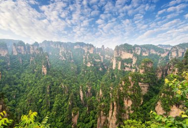 Wulingyuan Ulusal Parkı 'ndaki Karst Sütunları Zhangjiajie Hunan Eyaleti Çin