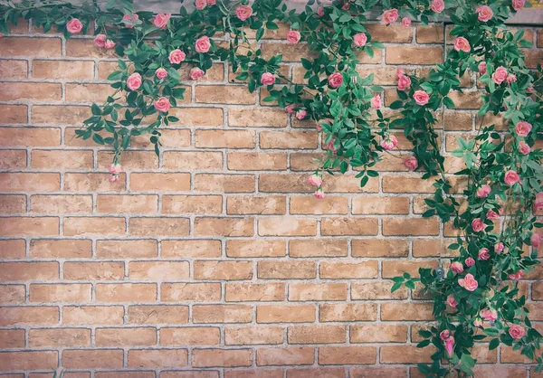 Bush Arrampicata Rosa Muro Mattoni Sfondo Decorazione Fiori Artificiali — Foto Stock