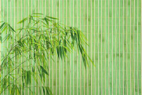 Bambusový Rám Bambusových Listů Pozadí — Stock fotografie