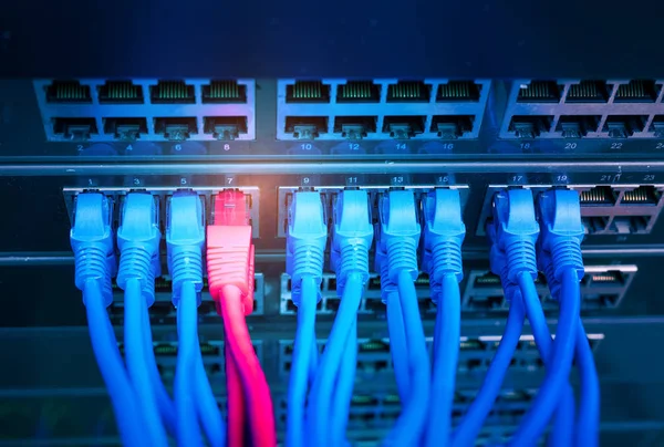 Conmutador Panel Red Cable Internet Centro Datos —  Fotos de Stock