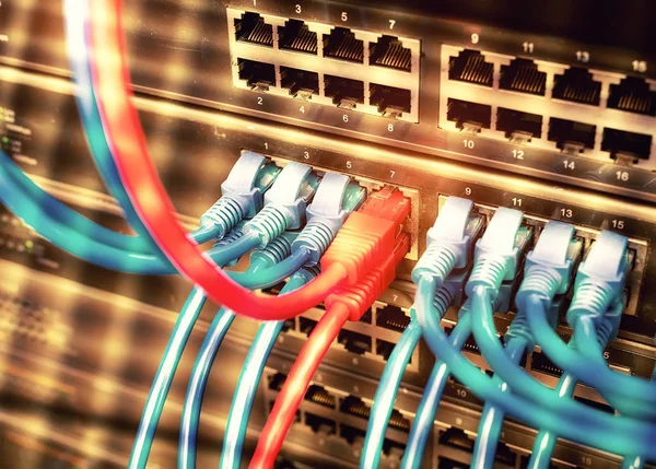 Veri merkezinde ağ paneli anahtarı ve internet kablosu.