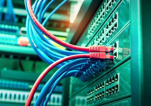 Nätverkskablar Och Ethernet Kablar Data Center Concept — Stockfoto