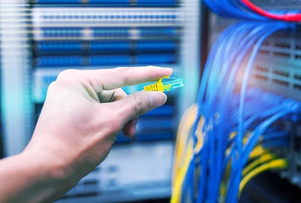 Administrator Hält Netzwerkkabel Mit Servern Verbunden — Stockfoto