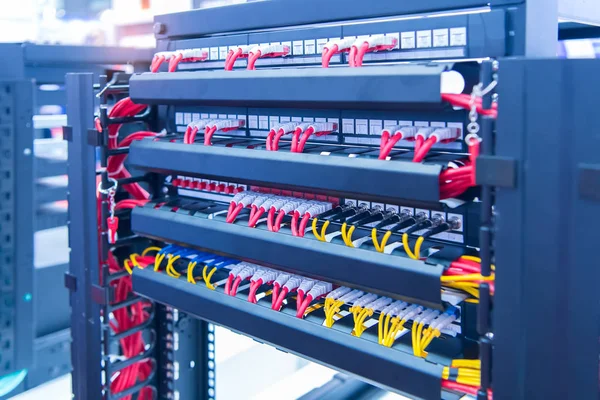 数据中心中的网络面板交换机和互联网电缆 — 图库照片