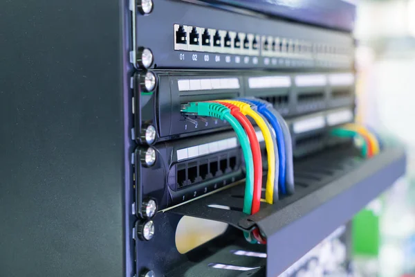 Interruttore Rete Cavi Ethernet Concetto Data Center — Foto Stock