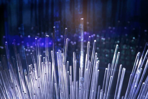 Fiber Optik Nätverkskabel För Ultrasnabb Internetkommunikation — Stockfoto