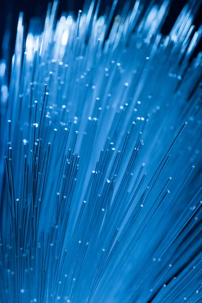 Fiber Optical Network Cable — Stock Photo, Image