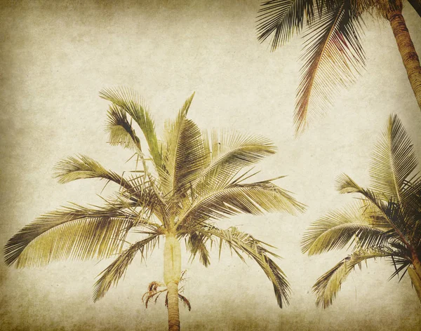 old paper background with palm leaf