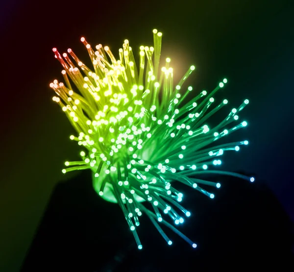 Cabo Rede Fibra Óptica Para Comunicações Internet Ultra Rápidas — Fotografia de Stock