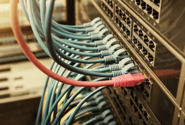 Ethernet-kabel op het netwerk schakelt achtergrond — Stockfoto