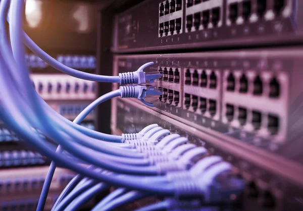 Kabel Ethernet w sieci przełącza tło — Zdjęcie stockowe