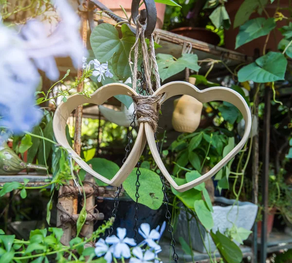 Twee houten harten opknoping op draad op groene achtergrond — Stockfoto