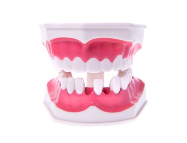 Beyaz üzerine izole edilmiş dişler veya protezler.