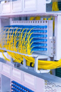 bir optik bağlantı noktalarına bağlı fiber optik kablolar