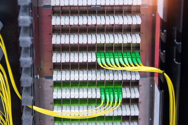 Fiber Optic Cables Connected Optic Ports — Stock Photo, Image