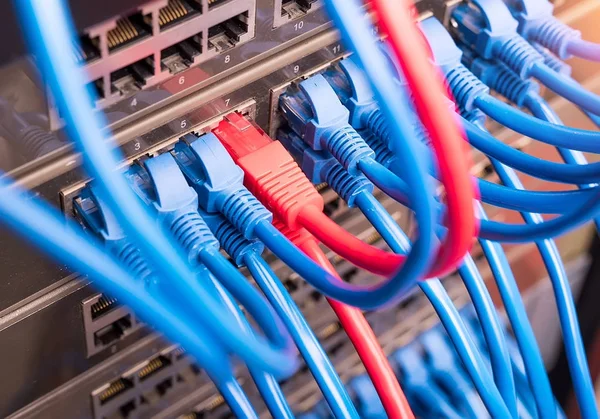 Netwerk Paneel Schakelaar Internet Kabel Datacenter — Stockfoto