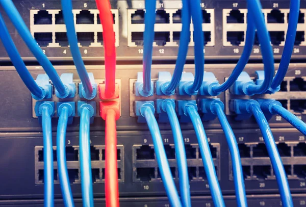 Netwerk Paneel Schakelaar Internet Kabel Datacenter — Stockfoto