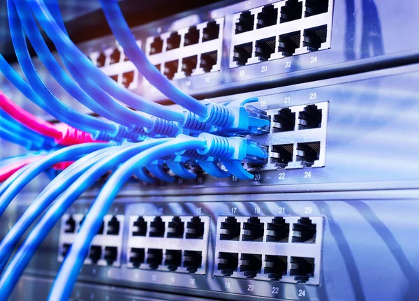 Interruttore Rete Cavi Ethernet Concetto Data Center — Foto Stock