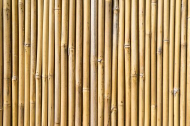 Bambudan yapılmış çitler.