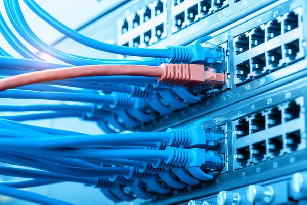 Network Switch Ethernet Cables Data Center Concept — Stock Photo, Image