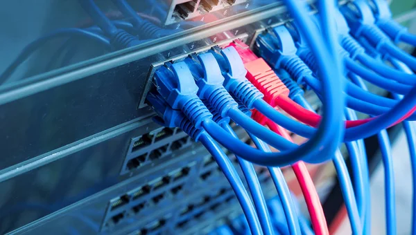 Server rack with internet patch cord cables connected to patch panel in server room