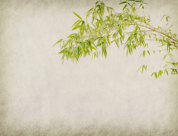 Bamboe Oude Grunge Papier Textuur Achtergrond — Stockfoto