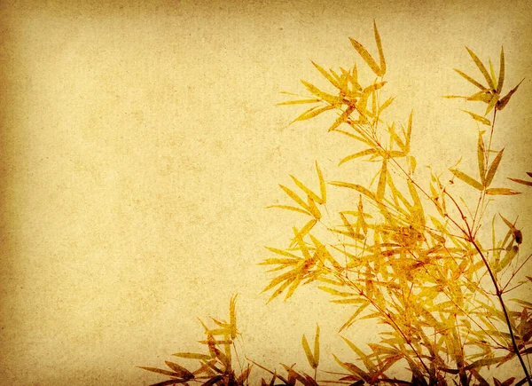 Eski Grunge Kağıt Doku Arka Planında Bambu — Stok fotoğraf