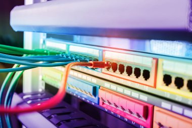 İnternet Anahtarına Bağlı Kablolar.