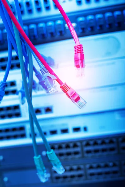 Kabel Ethernet Pada Latar Belakang Switch Jaringan — Stok Foto