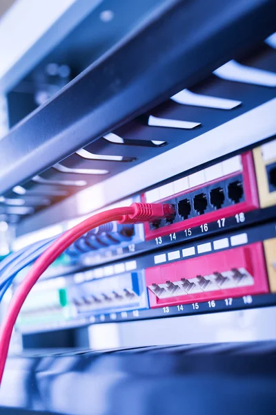 Cables Connected Internet Switch — Stock Photo, Image