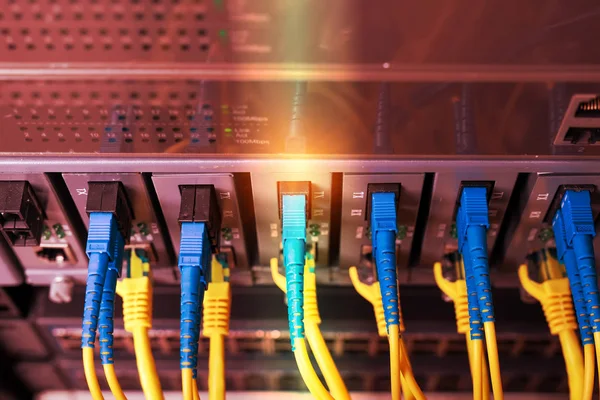 Fiber Optiska Kablar Anslutna Till Optiska Portar Och Utp Nätverkskablar — Stockfoto