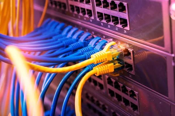 Cables Conectados Conmutador Internet —  Fotos de Stock