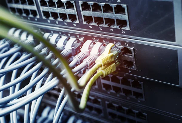 Kablar Anslutna Till Internet Switch — Stockfoto