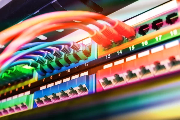 Kablar Anslutna Till Internet Switch — Stockfoto