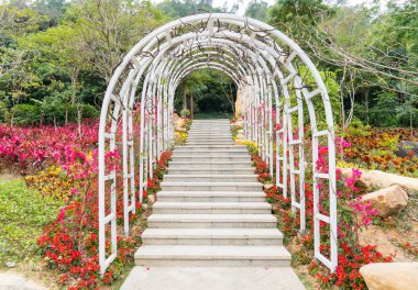 Kemer ve büyüyen renkli bahar çiçekleri