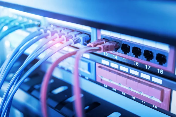 Cabos Ethernet Conectados Interruptor Internet — Fotografia de Stock