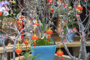 Geleneksel Çin feneri iyi dilekler ve yeni yıl için iyi şanslar demektir.