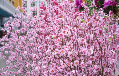Yapay şeftali dalda çiçek açar.