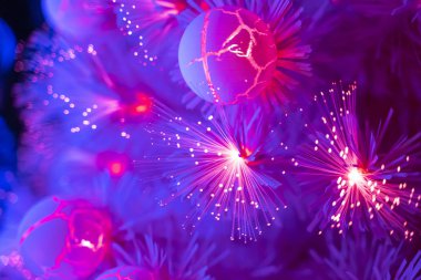Noel fiber optik dectoration, tatil kavramı ile süslenen ağacı.