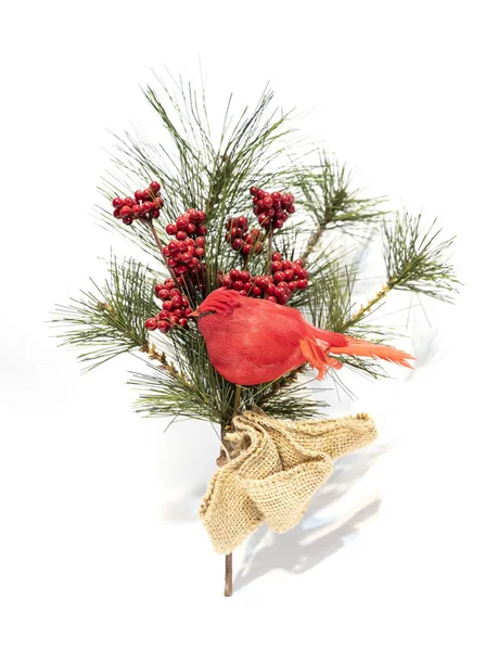 Vogel Rood Kardinaal Tak Geïsoleerd Witte Achtergrond — Stockfoto