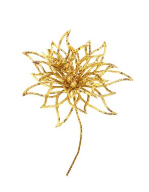 Çiçeğin altın dalı beyazın üzerinde 