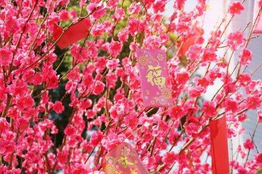 Çince 'de yeni yıl için Çin kırmızı çanta parası, Çince kelime ve mühür: iyi şanslar.    