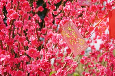 Çince 'de yeni yıl için Çin kırmızı çanta parası, Çince kelime ve mühür: iyi şanslar.    