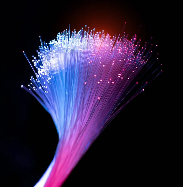 Cavo Rete Fibra Ottica Comunicazioni Internet Ultra Veloci Fili Sottili — Foto Stock