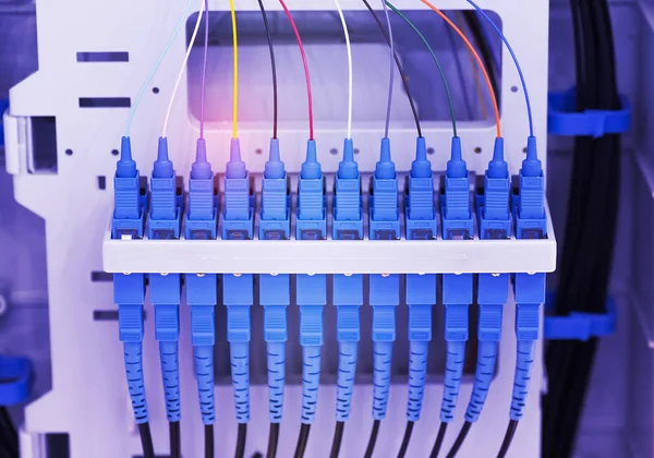 Fiber optik kablo iletişim dağıtım noktasına bağlanıyor