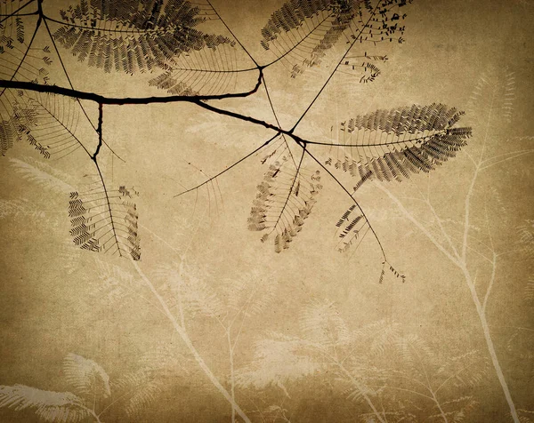 Eski grunge antika kağıt doku ile ağaç yaprakları — Stok fotoğraf