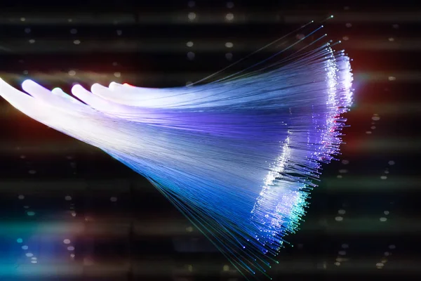 광섬유 광학 네트워크 케이블 — 스톡 사진