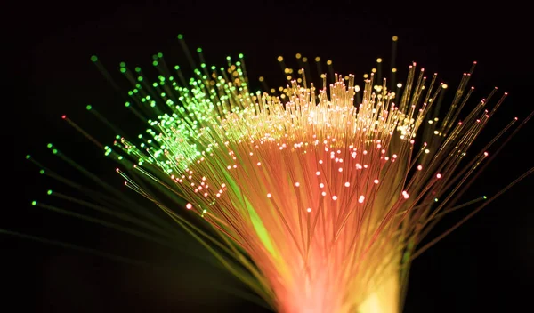 fiber optik ağ kablosu