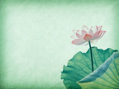 Nilüfer yeşil antika eski kağıt arka planda